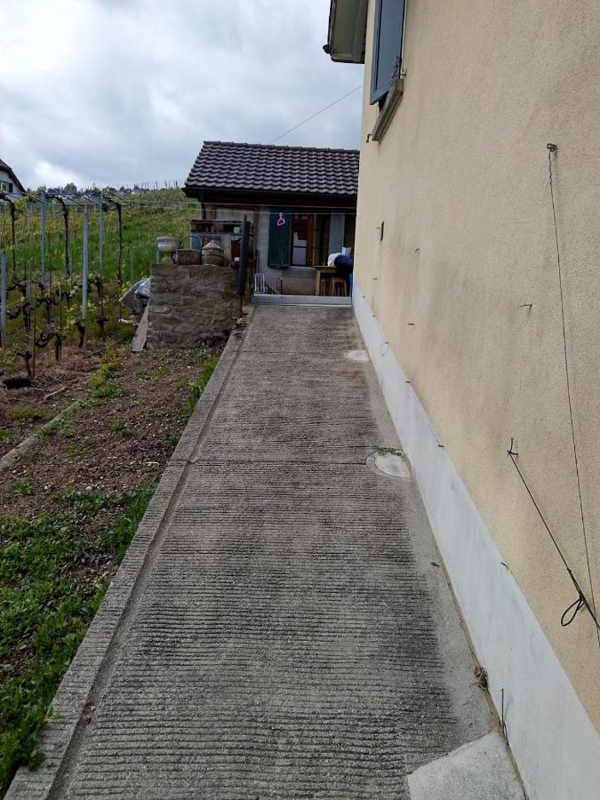 Charmante Maison Au Coeur Du Lavaux, Cully, Cuisine, Wifi, Les Echalas エクステリア 写真