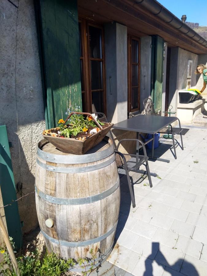 Charmante Maison Au Coeur Du Lavaux, Cully, Cuisine, Wifi, Les Echalas エクステリア 写真